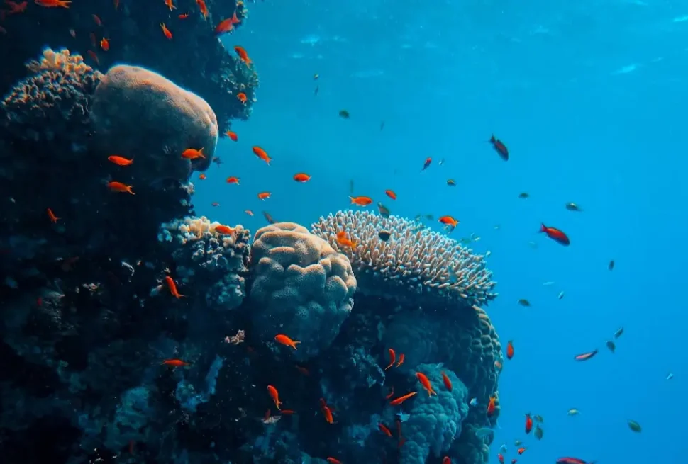 Chanane Morocco Tours