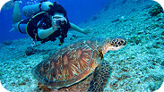 Chanane Morocco Tours