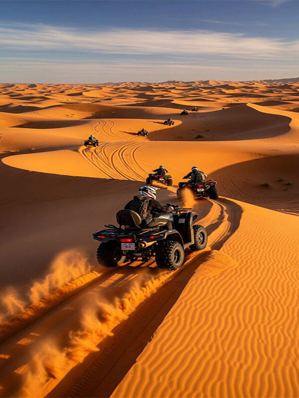 a5029a21754784022ba39f1ecdf87e29